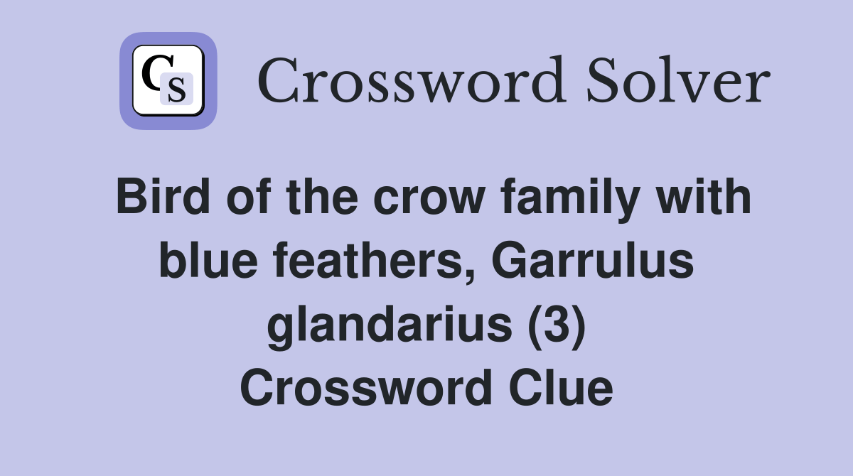 Bird of the crow family with blue feathers, Garrulus glandarius (3